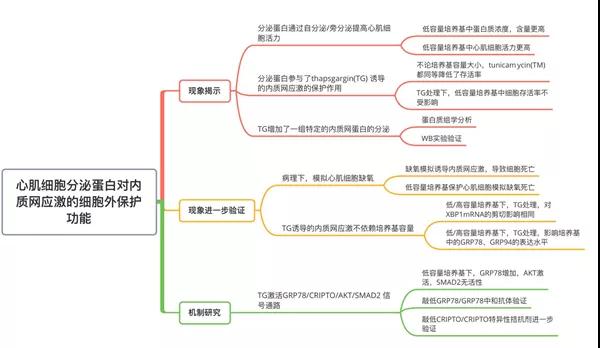 1596767647125224.jpg 微信图片_20200807103347.jpg