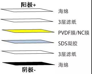 1608528161986210.jpg 6.jpg