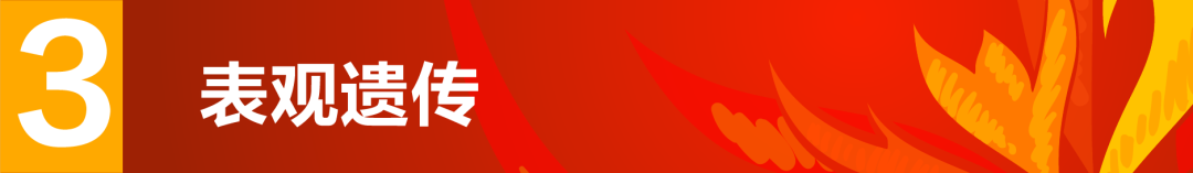 7777.png