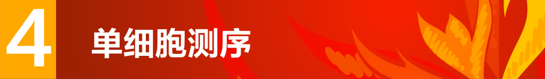 8888.png