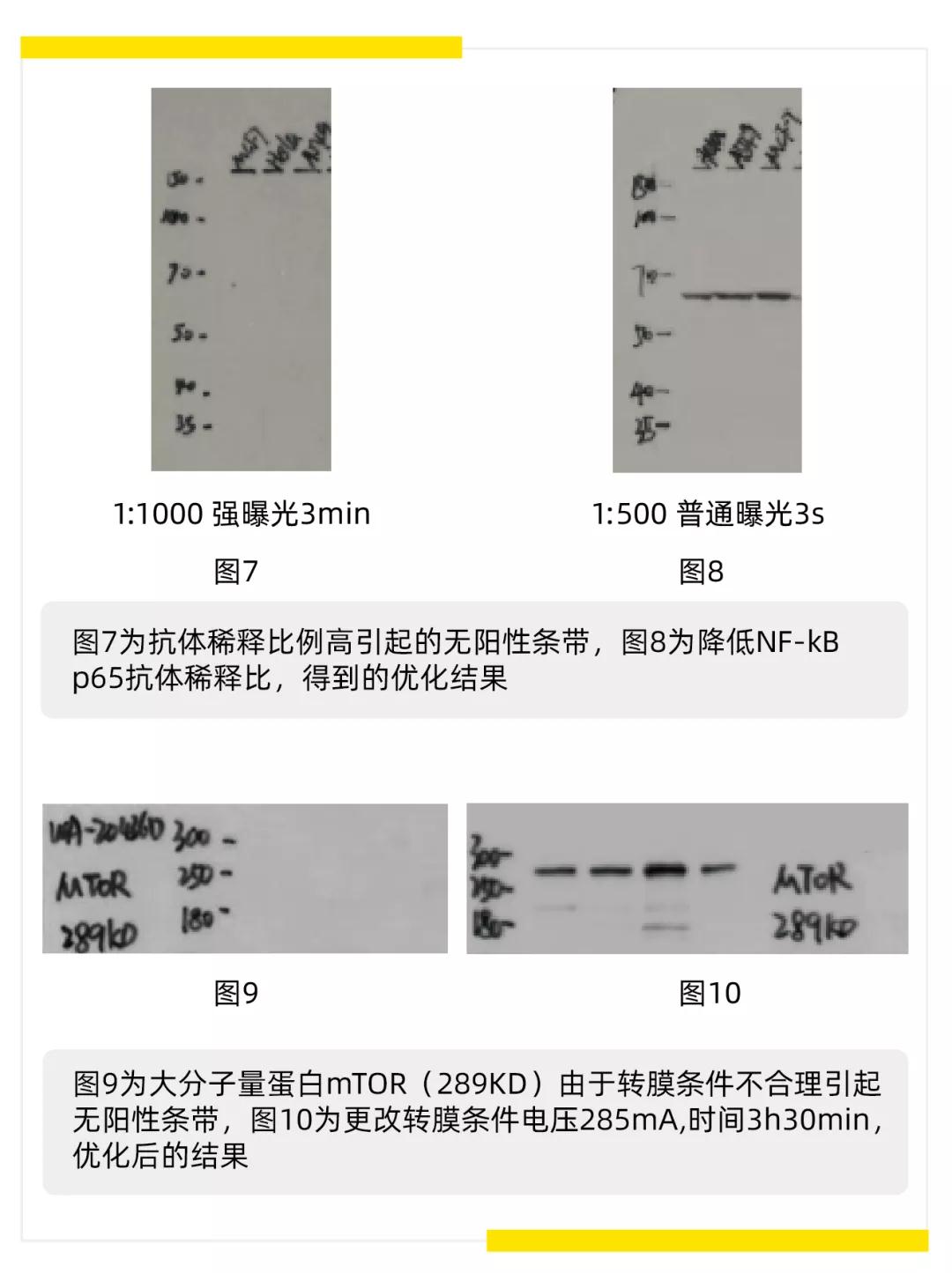 1627535133011478.jpg 4.jpg