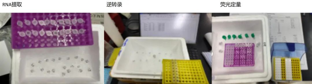 1662454534588122.png image.png