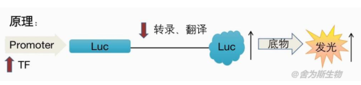 1666601969186399.png image.png