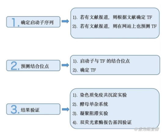 1666601981627552.png image.png
