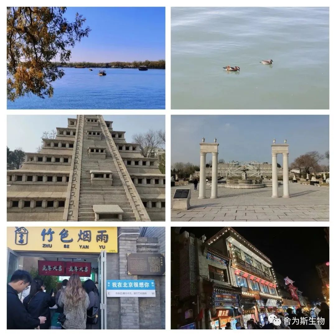 图片 图片