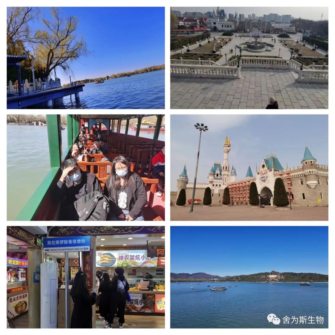 图片 图片