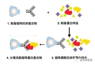 1690941000002331.png 图片1.png