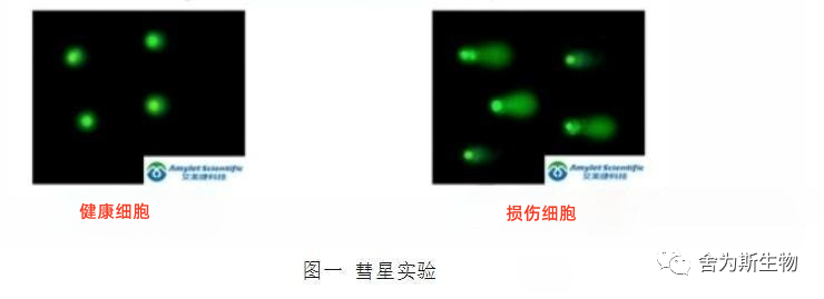 1690958510725505.png 图片2.png