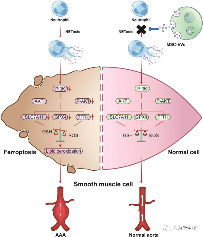 9.png