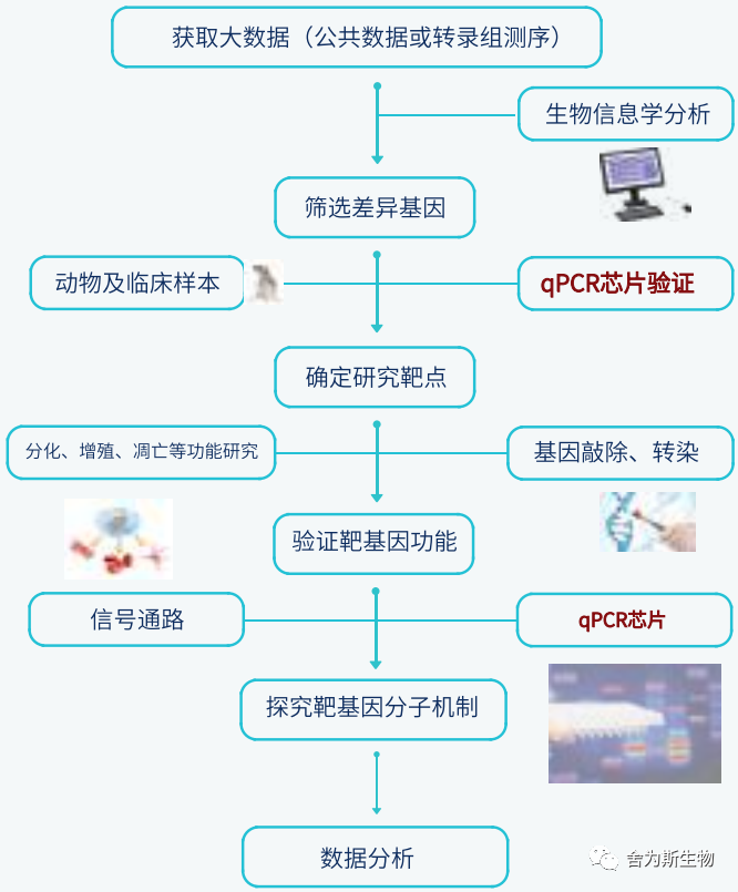 1695286480061912.png 2.png