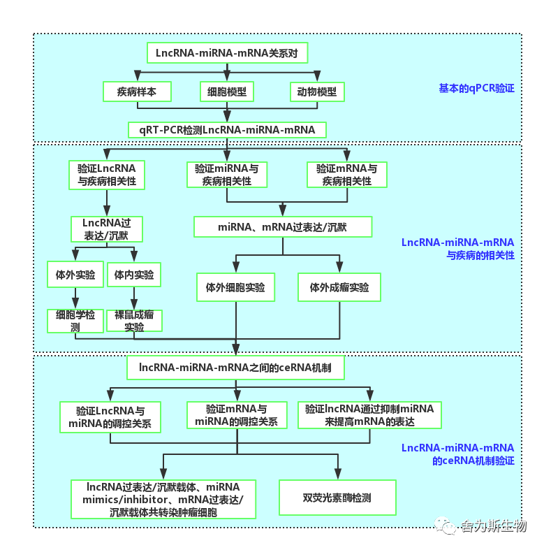 1695287188279504.png 图片5.png
