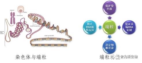1695710276169830.png 图片31.png