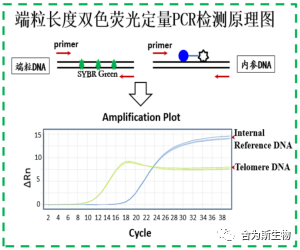 1695710294831840.png 图片32.png