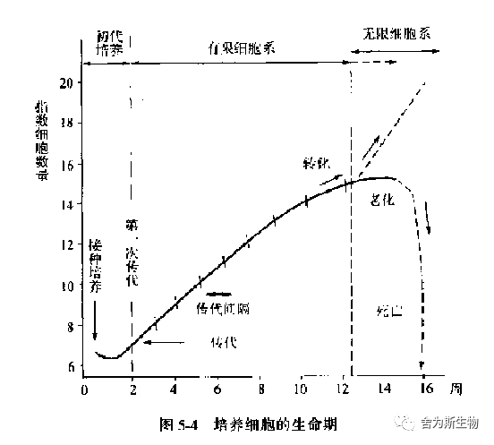 1696650569274713.png 图片2.png