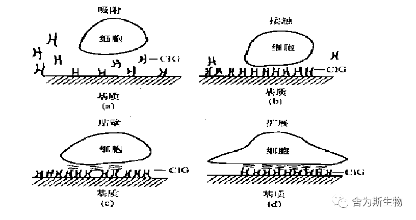 1696650836237505.png 图片3.png