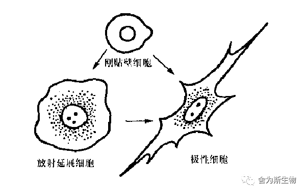 1696650846067321.png 图片4.png