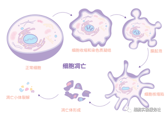1697791308596565.png 图片1.png
