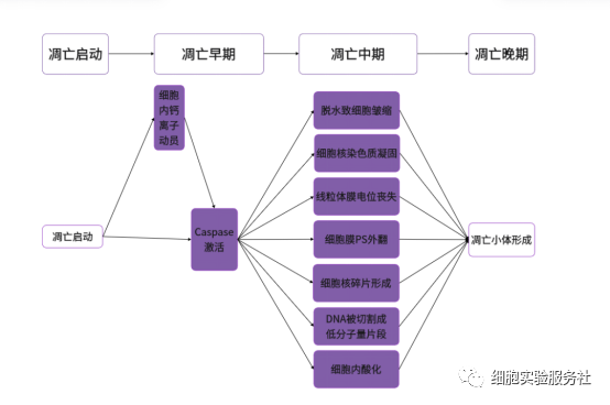 1697791394542176.png 图片2.png
