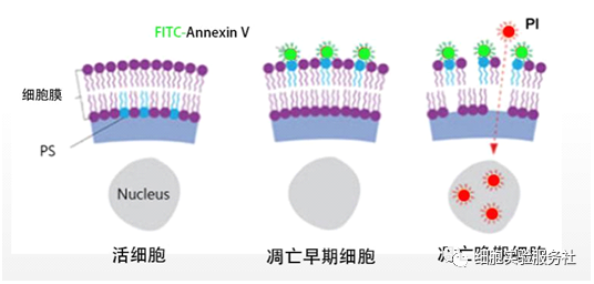 1697791446659137.png 图片4.png