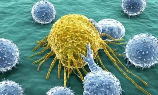 Immunity: 了解COVID-19的细胞因子风暴及带来哪些启示