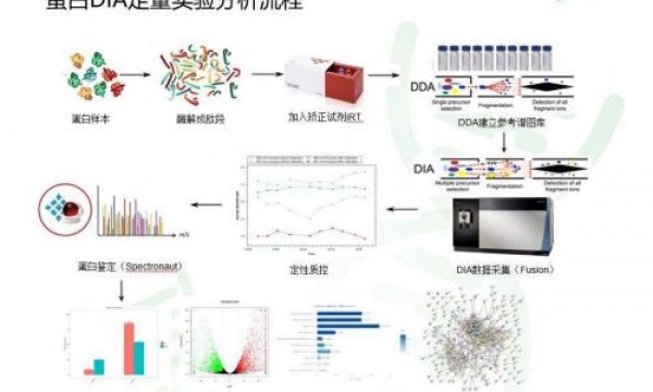 关于蛋白质组学DIA技术的前世今生和技术应用思路分析