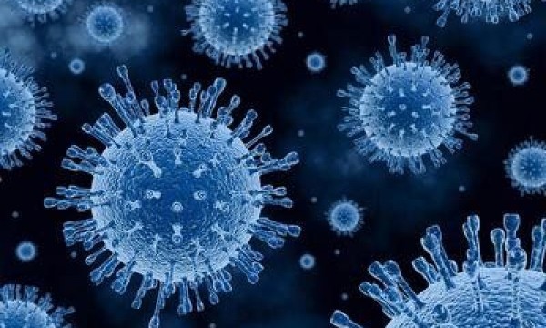 《科学》重磅研究：近200名学者联合找到冠状病毒共同弱点