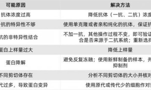 干货 | WB实验宝典-治愈实验中苦苦追寻的你