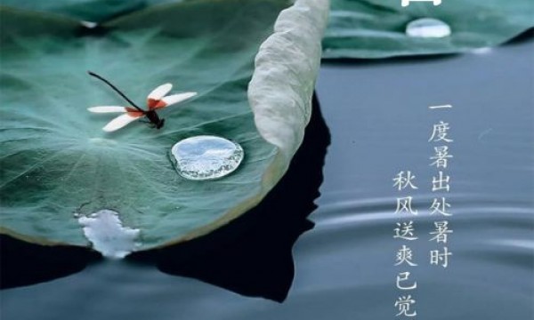 一度暑出处暑时，秋风送爽已觉迟！