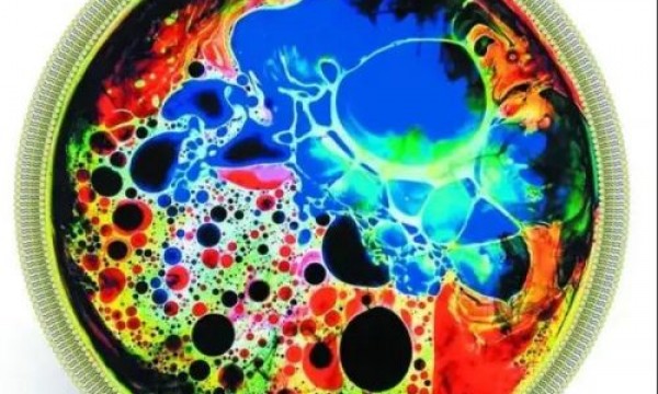 最新！2021国自医学部15大热点，聚焦→→单细胞、类器官和相分离