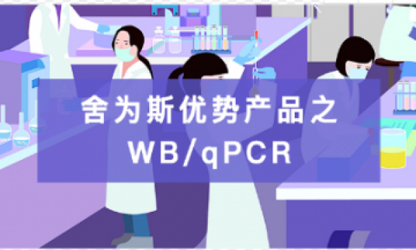 优势产品介绍------WB/qPCR