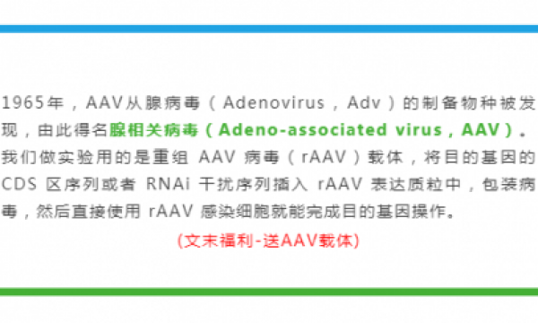 福利大放送 | 腺相关病毒AAV