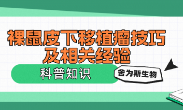 裸鼠皮下移植瘤技巧及相关经验