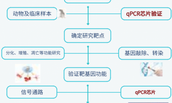 什么是PCR芯片？PCR芯片相较于传统qPCR有哪些优势？